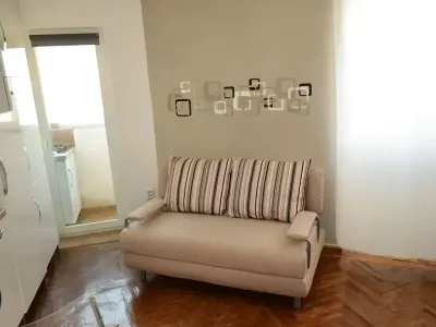 Garsoniera de vanzare-cumparare Sector 2 Bucuresti living